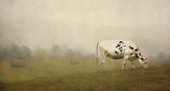 Pastoral