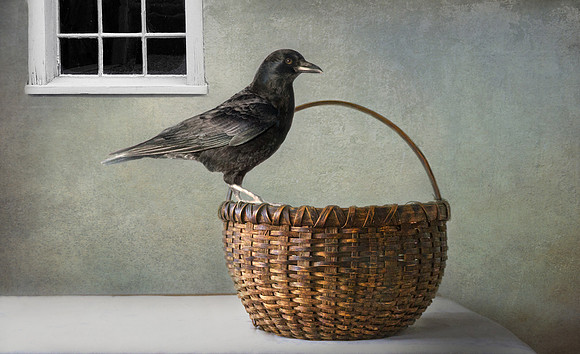 Basket With Crow
