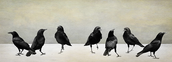Seven Crows of San Simeon