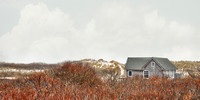 Martha's Vineyard