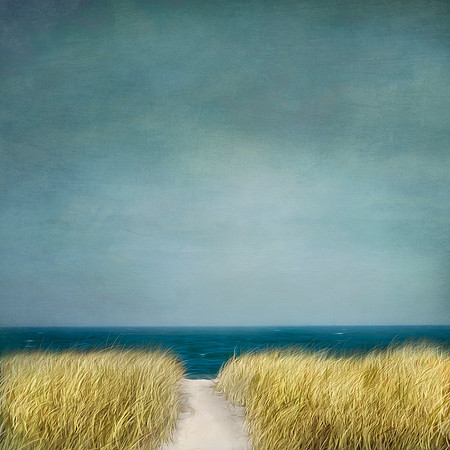 Martha's Vineyard 2