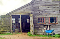The Blue Wheelbarrow