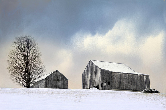Winter Afternoon