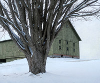 Green Barn #3