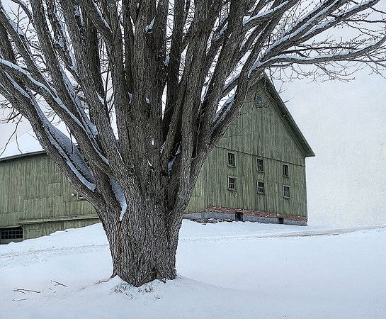 Green Barn #3