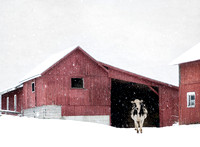 Tanner Barn