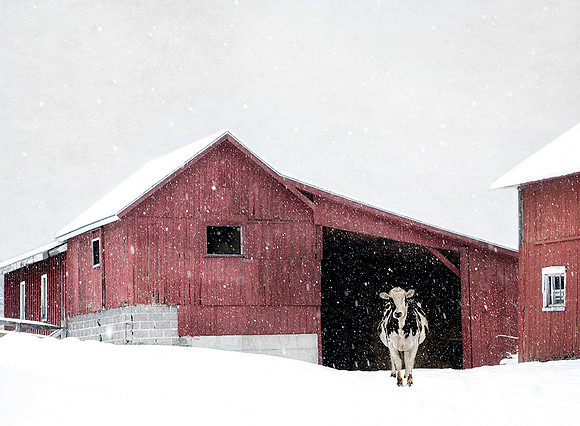 Tanner Barn