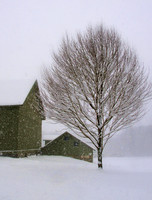 barn