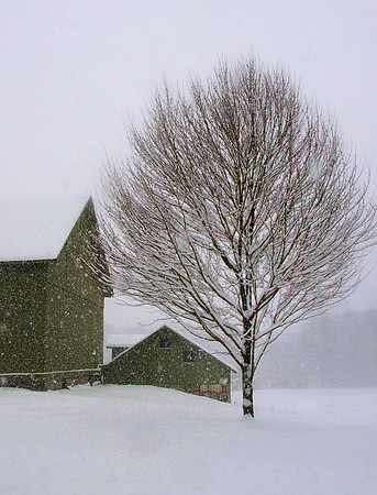 barn