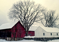 New England Scene
