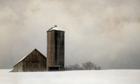 The Silo