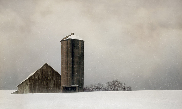 The Silo
