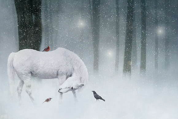 Winter Magic
