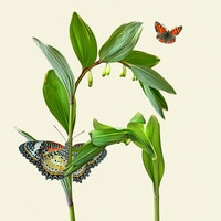 HOME PAGE SLIDESHOW