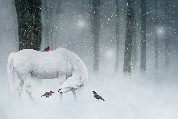 Winter Magic