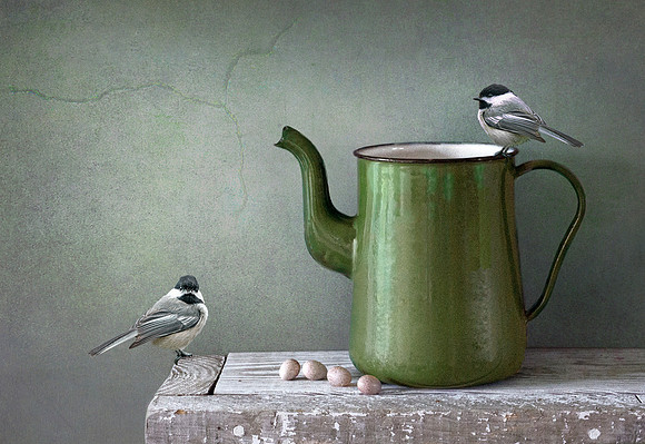 Green Pitcher with Chickadees
