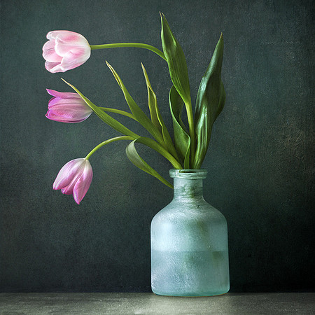 Pink Tulips in Green Vase