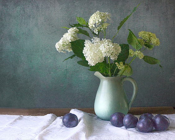 Hydrangeas With Plums