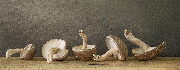 Shiitakes