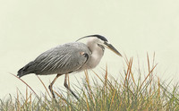 Heron #2