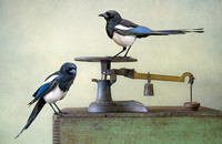 Tipping the Scale