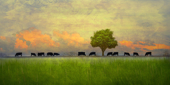 End of the Day