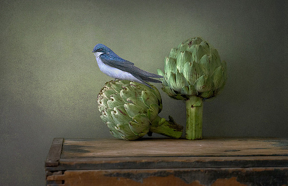 Artichokes with Swallow