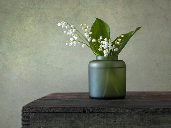 Lily of the Valley #3