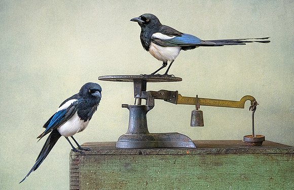 Tipping the Scale